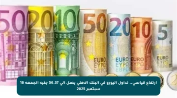 ارتفاع قياسي.. تداول اليورو في البنك الأهلي يصل إلى 56.37 جنيه الجمعة 16 سبتمبر 2025